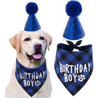 Dog Birthday Party Supplies Pet Birthday Hat and Boy Doggy Birthday Bandana Set